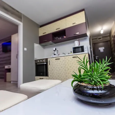 елеганс Sandanski